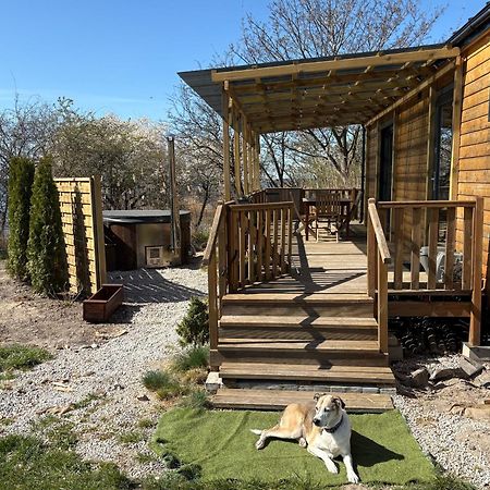 Tiny Beach House Heated And Airconditioned Wapnica  Exterior foto